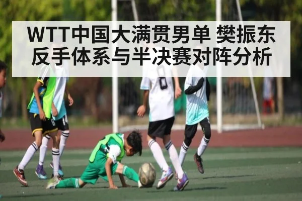 WTT中国大满贯男单 樊振东反手体系与半决赛对阵分析(NG28)